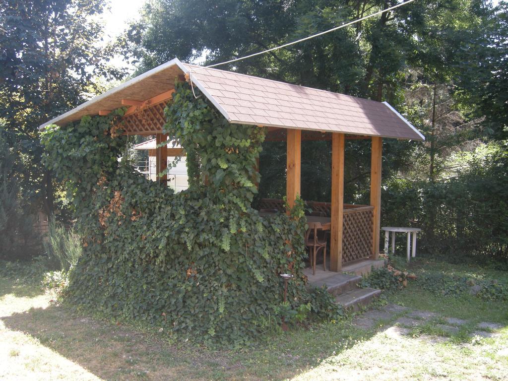 머트러푸레드 Diana Panzio B&B 외부 사진